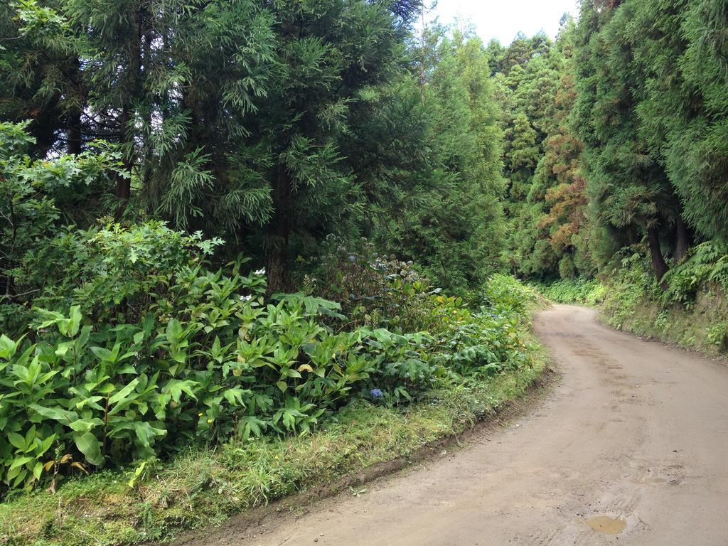 Casa Dos Platanos-Family Home Sete Cidades Dış mekan fotoğraf
